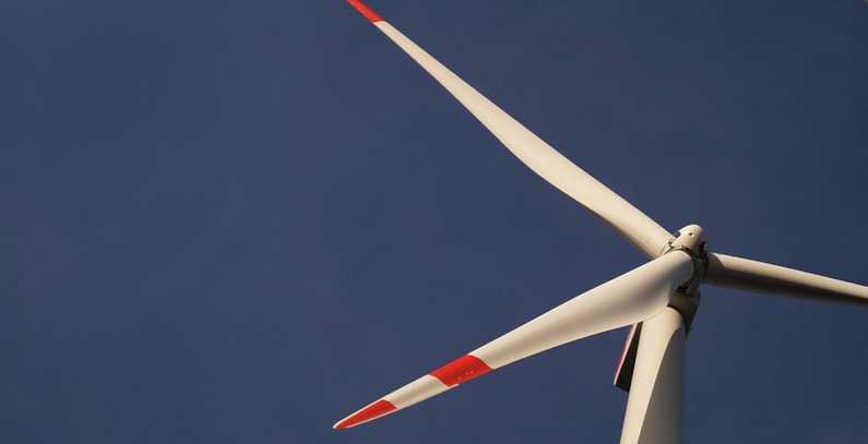 Parengta numatomų plėtoti iki 700 MW vėjo elektrinių poveikio aplinkai vertinimo programa